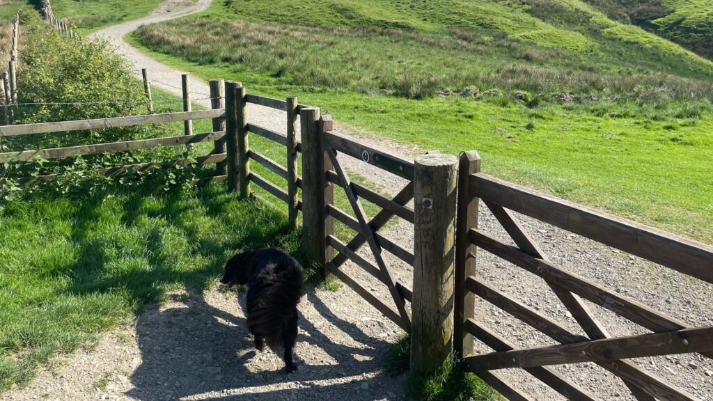 Latrigg Lake District