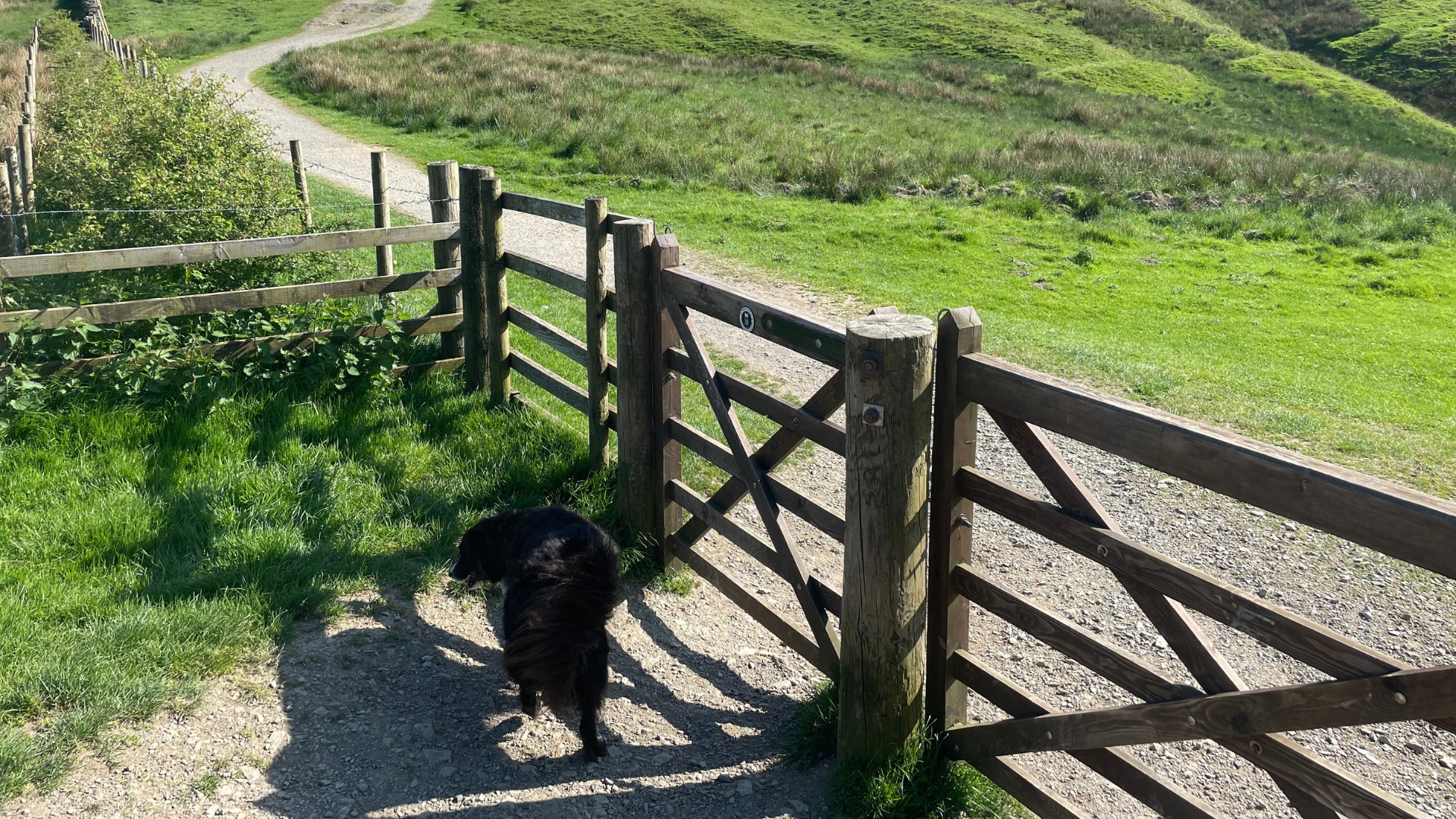 Dog Friendly Hotels Lake District Lake District Castle Inn Hotel