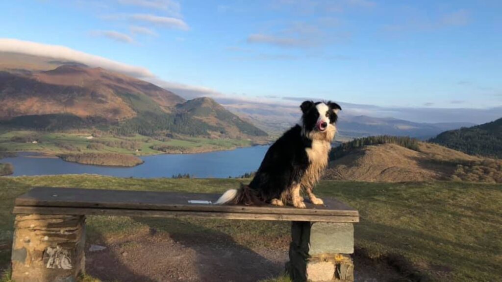 Sale Fell Lake District