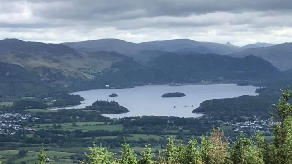 Whinlatter Forest Dog Walking
