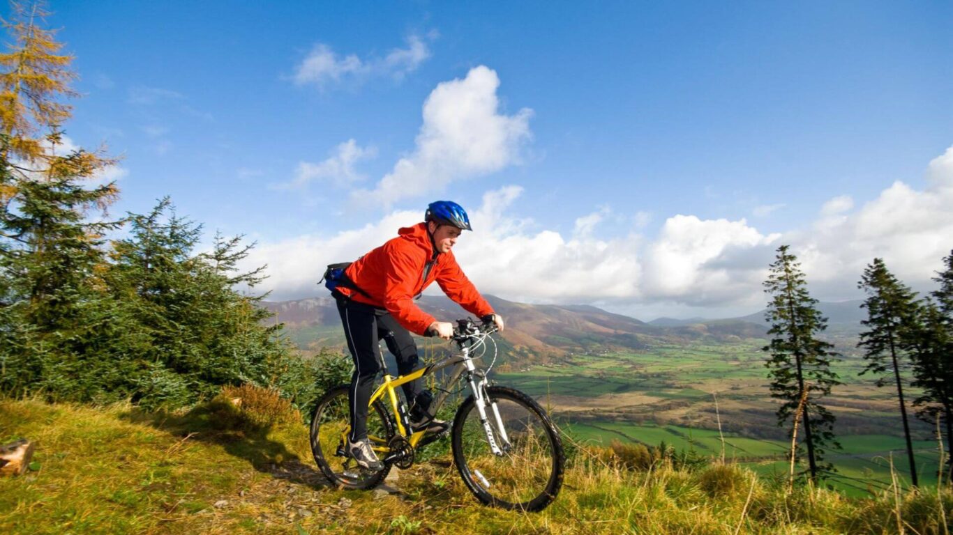 Cycling in Whinlatter Forest, Bassenthwaite Cumbria Media Image