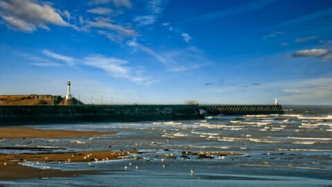 Maryport Taste of the Sea Event &ndash; Canva Image