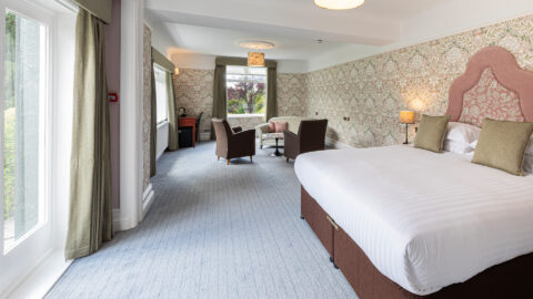 Double Suite Room