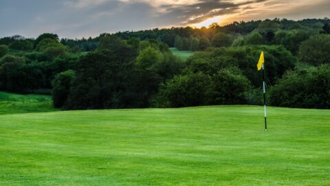 Golf Course Stock LDCI 1