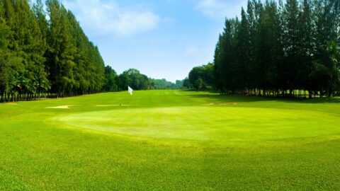 Golf Course Stock LDCI 2