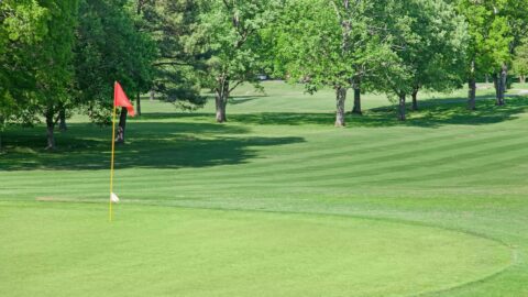 Golf Course Stock LDCI 3