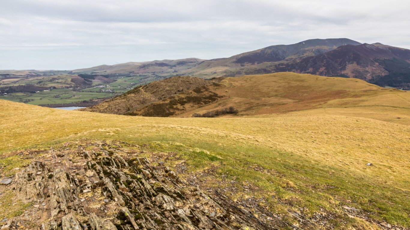 Sale Fell Canva Image