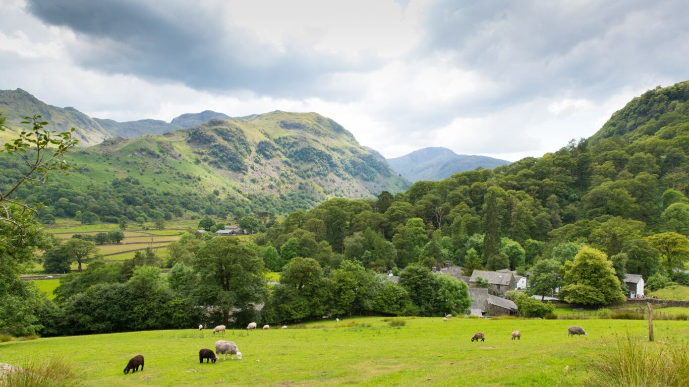 Seatoller Lake District Cumbria Media image
