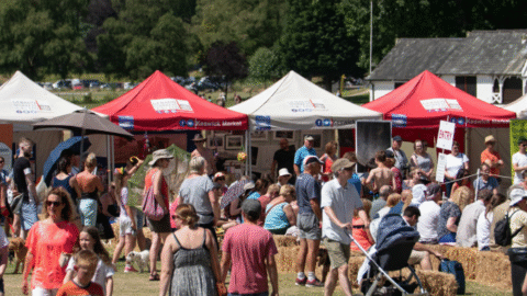 Screenshot 2026-02-23 102529