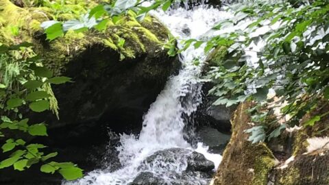 the howk, lake district castle inn hotel, bassenthwaite6